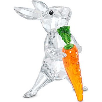 Rabbit with Carrot 5530687