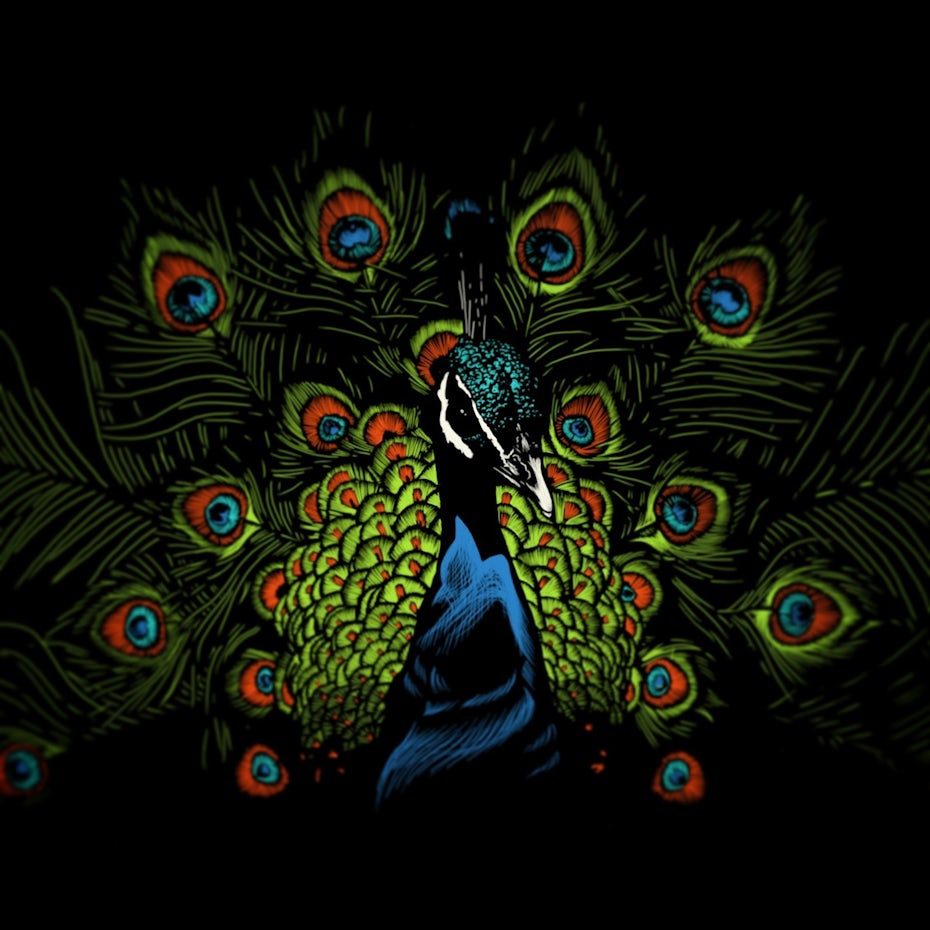 Color trends 2020 example: dark mode Peacock illustration