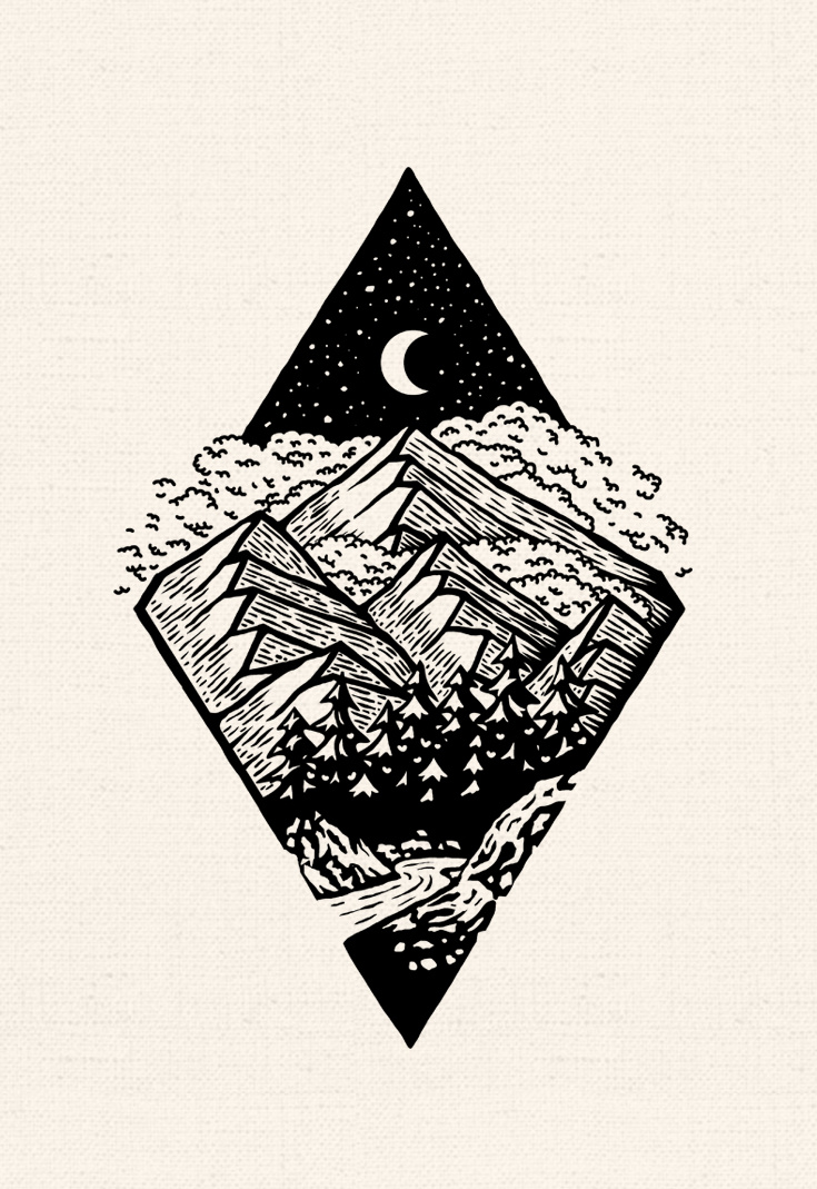 Into the wild illustration