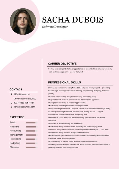 free resume maker -sample 3