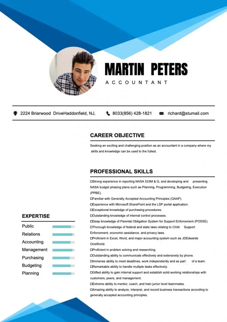 free resume maker -sample 1