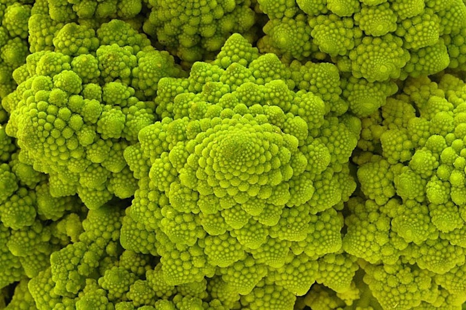 romanesco broccoli