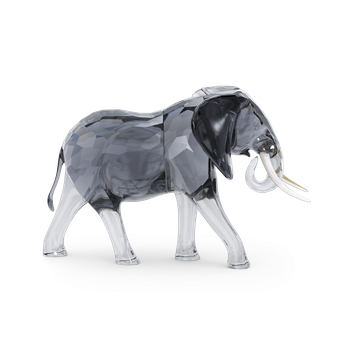 Elegance of Africa Elephant Bull 5611302
