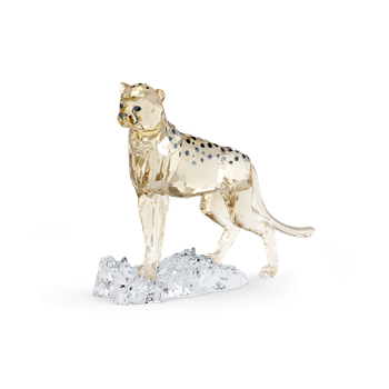 Elegance of Africa SCS Cheetah Baby Jabari 5636484