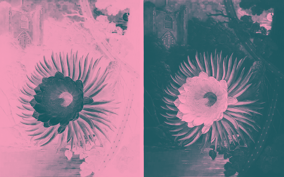 A side by side comparison of inverted duotones